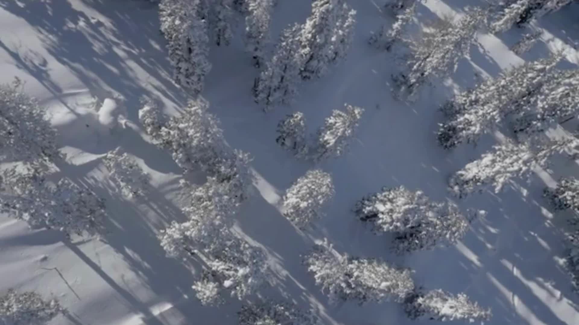 Winter in der HOCHKÖNIGIN und in Maria Alm