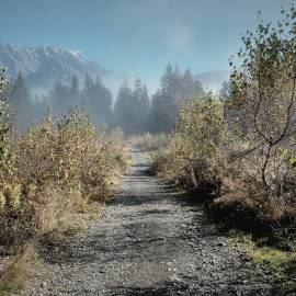 Herbst in der HOCHKÖNIGIN Salburger Land Maria Alm Natur wandern Berge