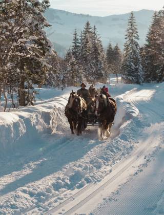 Pferdeschlittenfahrt im Winter