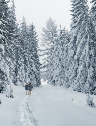 Verschneite Winterlandschaft