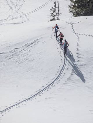 Group of ski tourers in the snow