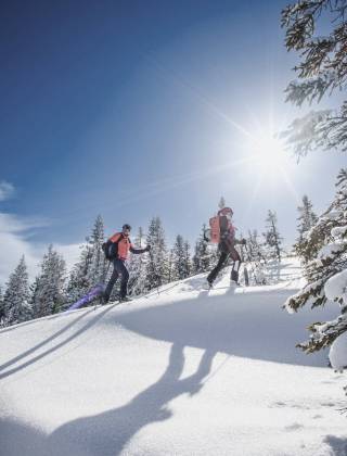 Group of ski tourers in the snow with blue sky, sunshine and trees