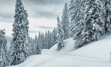 Mann beim Schneeschuhwandern in der verschneiten Winterlandschaft in den Bergen im Salzburger Land