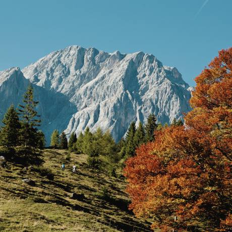 Autumn in the HOCHKÖNIGIN Salburger Land Maria Alm Nature Hiking Mountains