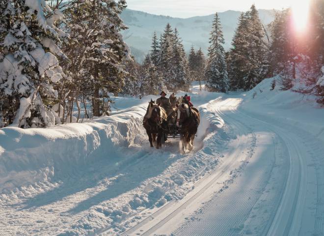 Pferdeschlittenfahrten in einer traumhaften Winterlandschaft im Salzburger Land mit verschneiten Bergen und Bäumen