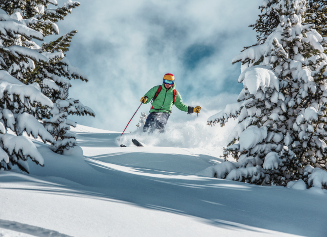 Skifahrer mit blauem Himmel und Sonnenschein auf einer vrischverschneiten Piste zwischen kleinen Tannen