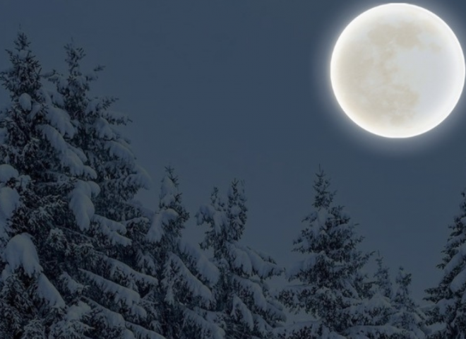 Schneebedeckter Wald bei Vollmond