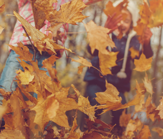 Children throw colourful leaves into the air in the forest