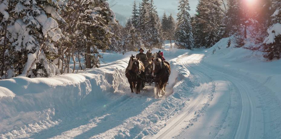 Horse-drawn sleigh rides in a dreamy winter landscape in Salzburger Land with snow-covered mountains and trees